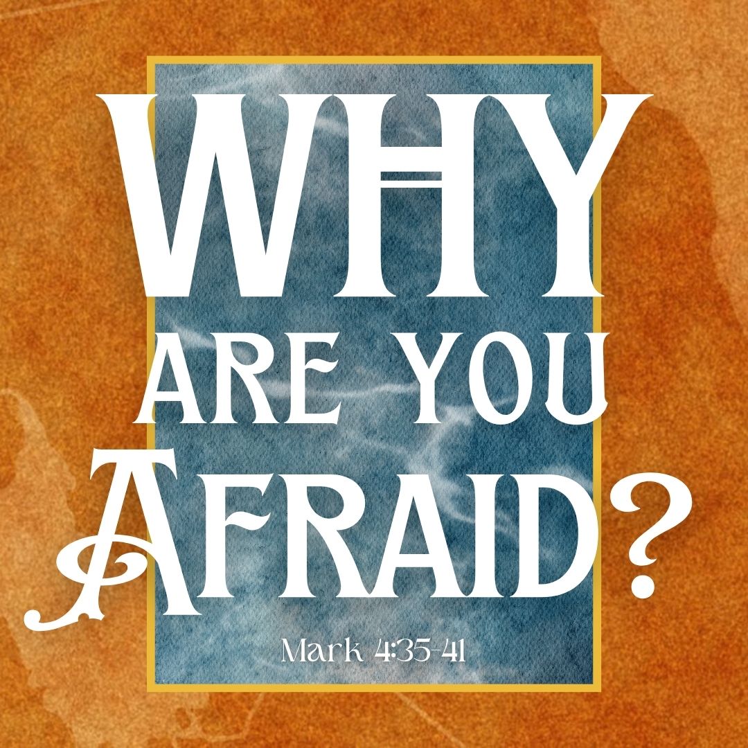 Why Are You Afraid?