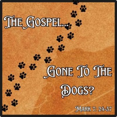 The Gospel…Gone to the Dogs?